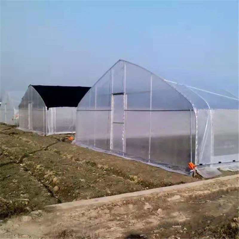 tunnel greenhouse.jpg