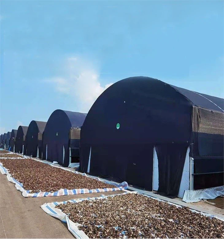 Blackout Greenhouse For Mushroom And Cannabis