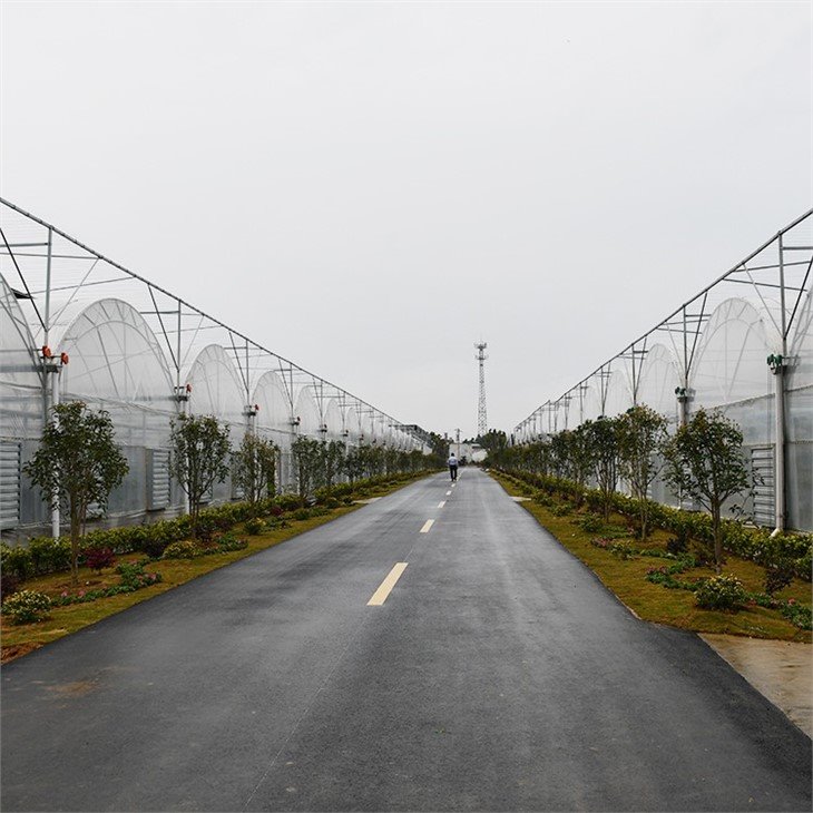 green house China