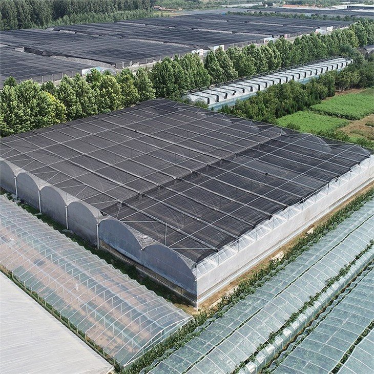 China Film Green house