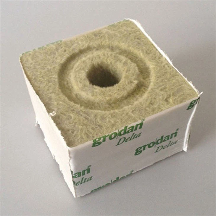 Rock-wool-greenhouse