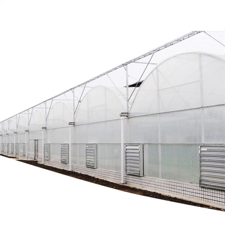 Hot Sale Multi Span Film Greenhouse For Tomato Growing System