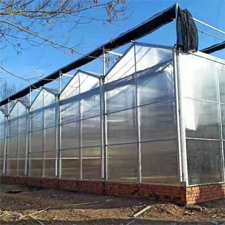 PC Greenhouse For Agriculture