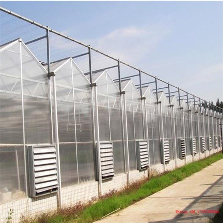 PC Greenhouse For Agriculture