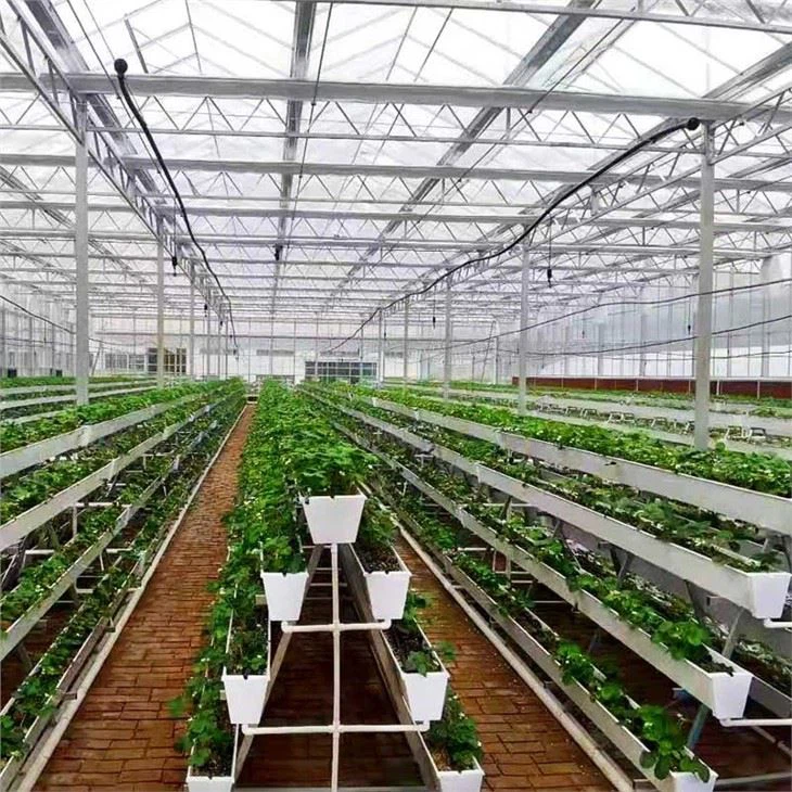 Planting Gutter For Lettuce And Strawberry in Greenhouse