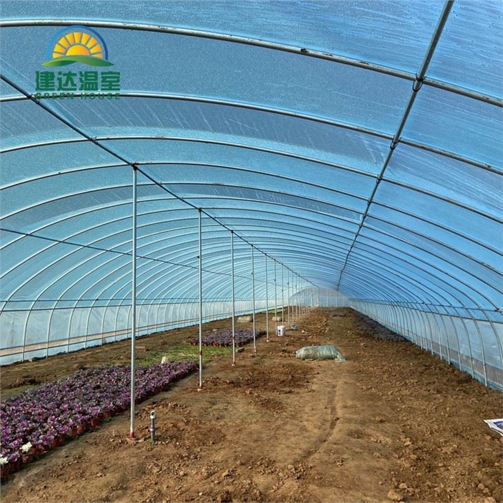 Single Tunnel Greenhouse