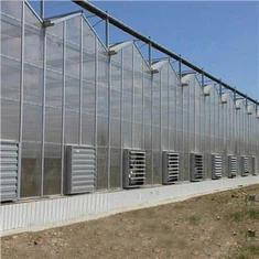 China Venlo policarbonat cu efect de seră cu sistem de irigare