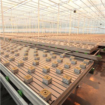Rockwool cu efect de seră