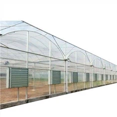 Vânzare la cald Seră cu film multi-span pentru sistemul de cultivare a roșiilor