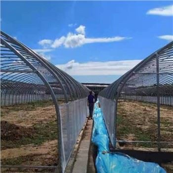 Singerspan Film Greenhouse