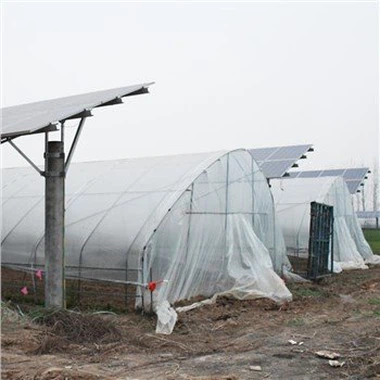 Tunel Green House