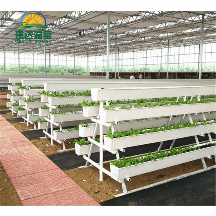 Strawberry Planting Gutter