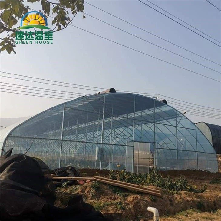 Vegetable Film Greenhouse