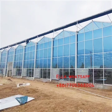 Ce tipuri de scheme de dezumidificare există pentru sere de sticlă?
