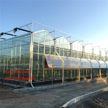 Introducerea de performanță de seră de sticlă solară