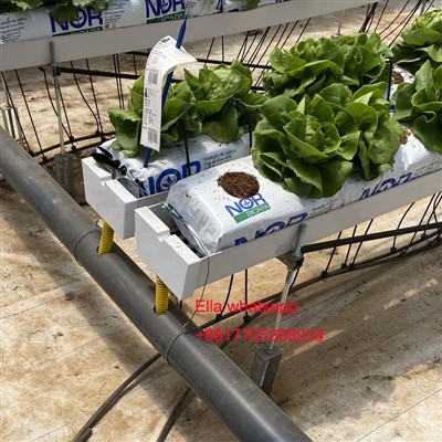 Cum să amenajați sistemul de irigare în proiectul de seră