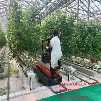 Stabilirea unui sistem olandez standard de hidroponie