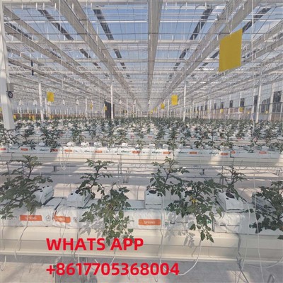 Cultivarea fără sol pentru tomate în seră