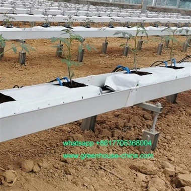 Plantarea jgheabului pentru roșii vegetale în seră